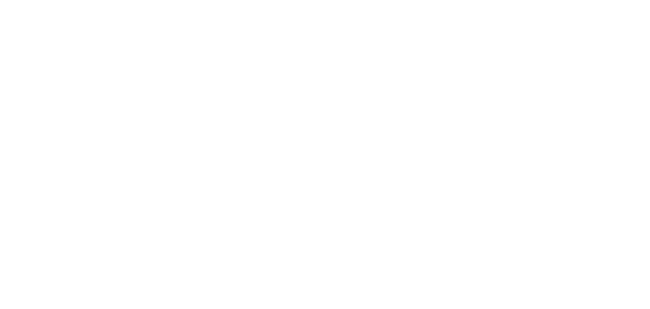 Turlink
